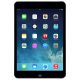 ipadmini-16-gris-sideral-wifi
